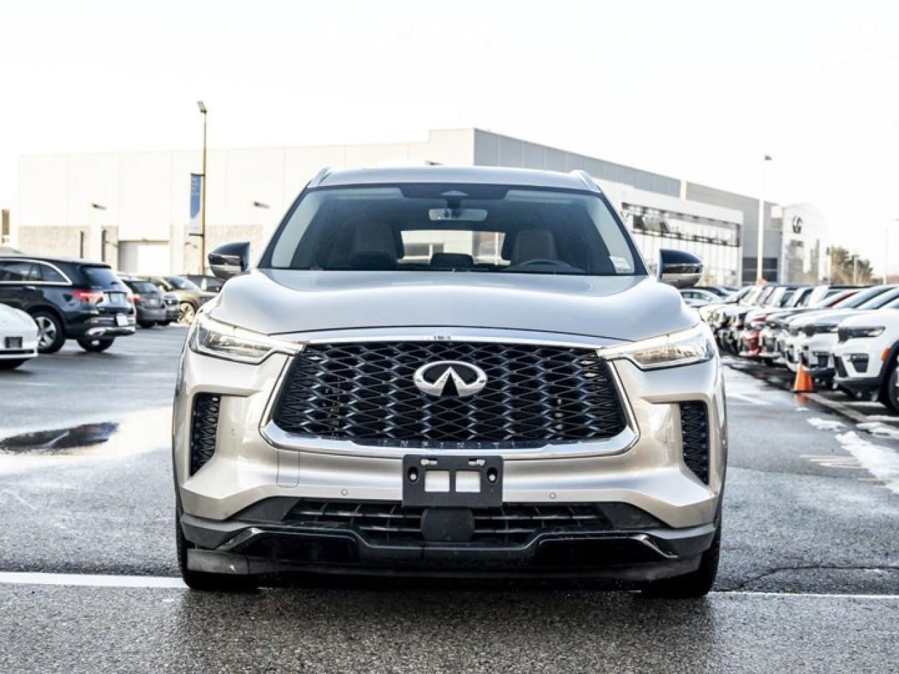 2024 Infiniti QX60 LUXE Photo