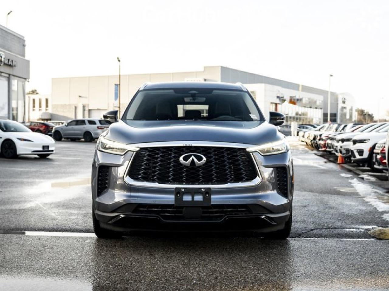 2024 Infiniti QX60 LUXE Photo2
