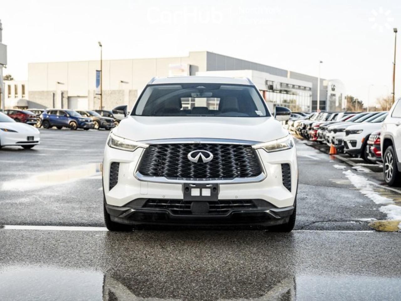 2024 Infiniti QX60 LUXE Photo