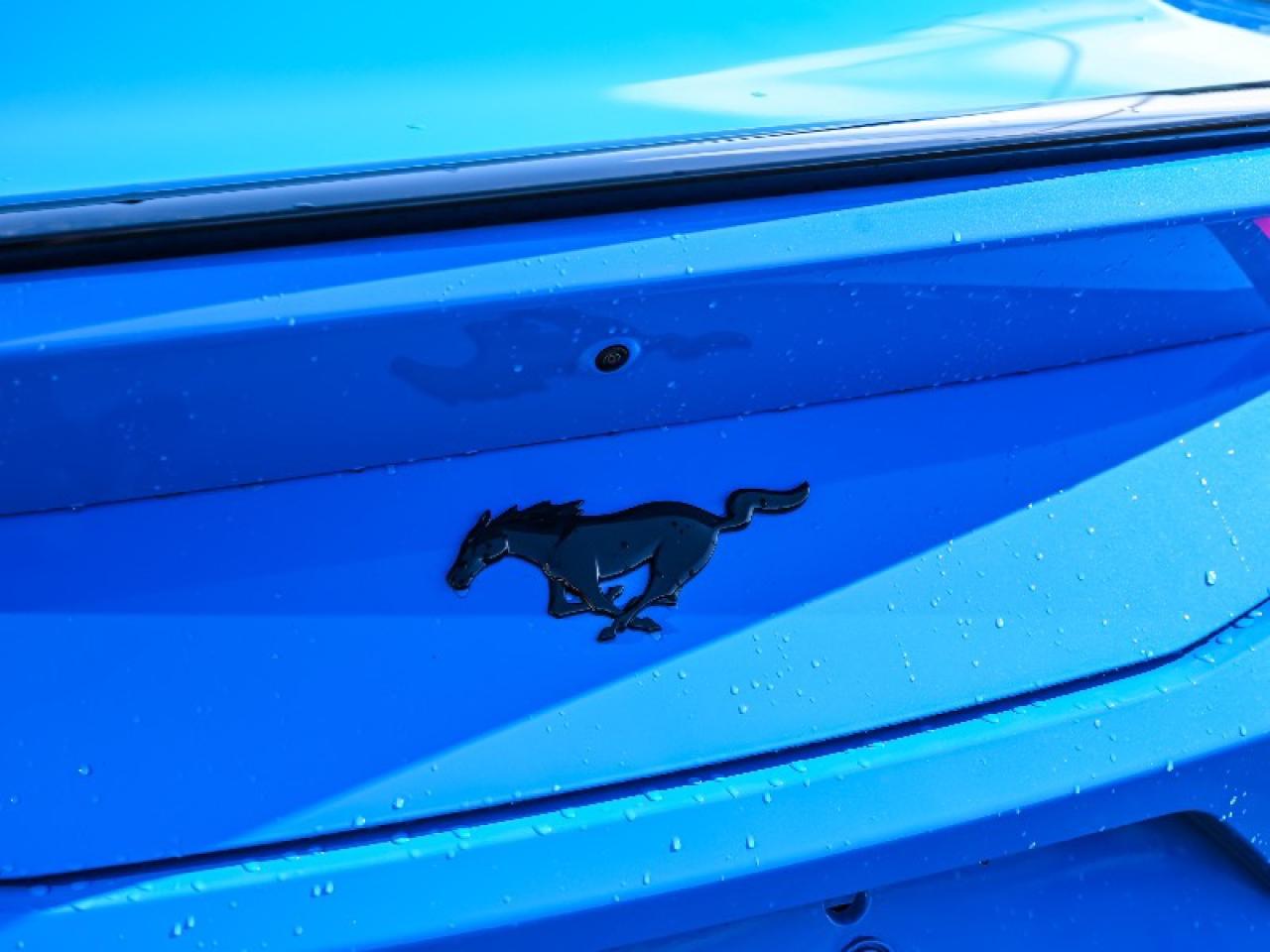 2026 Ford Mustang EcoBoost Photo