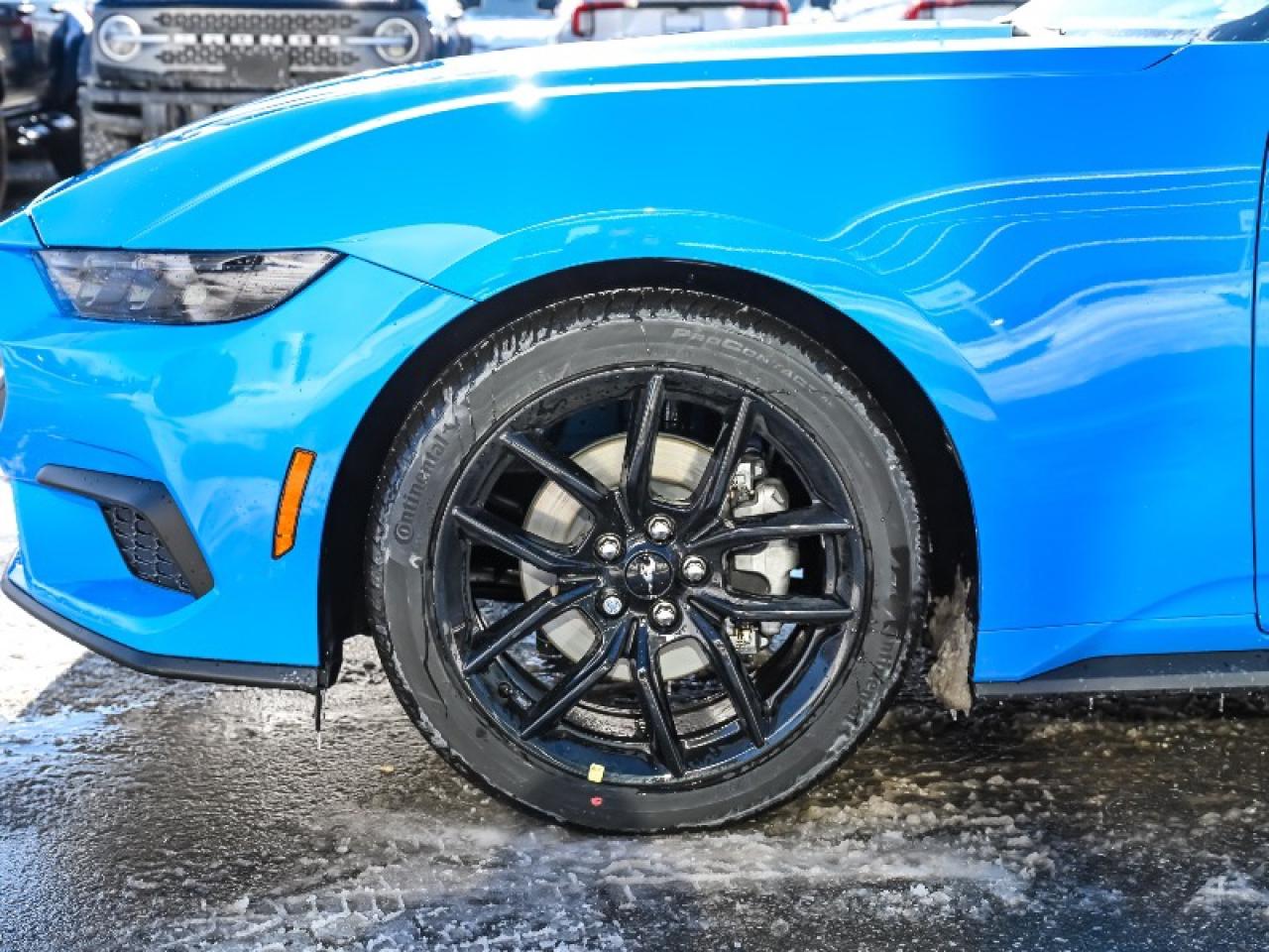 2026 Ford Mustang EcoBoost Photo