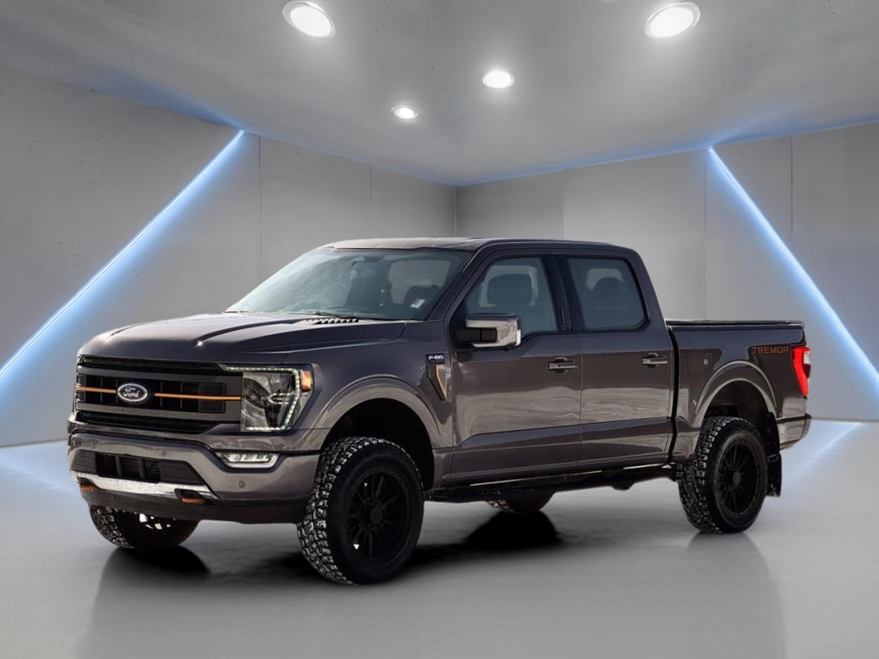 2022 Ford F-150 LARIAT TREMOR SuperCrew   Off-Road Performance Truck for Sale in Saskatoon, SK
**2 Lift
**OFF ROAD WHEEL AND TIRE PACKAGE
**FACTORY COMMAND START
**PREMIUM HEATED LEATHER SEATS
VIN: 1FTEW1E88NFB75089
Mileage: 109,453 KM
Exterior Color: Stone Grey Metallic
Interior: Premium Black Leather
Condition: Fully Loaded | Tremor Off-Road Package | Excellent Condition

Built Tough, Luxury Inside   The Ultimate F-150 Tremor

Now available at Platinum Auto Sport, this 2022 Ford F-150 LARIAT Tremor SuperCrew delivers serious off-road capability combined with premium luxury and advanced technology. Finished in Stone Grey Metallic with a premium black leather interior, this Tremor is designed for drivers who want trail-ready performance without sacrificing comfort.

Perfect for Saskatchewan backroads, job sites, towing, and daily driving, the F-150 Tremor stands out as one of the most capable factory off-road trucks on the market.
+P Key Features of the 2022 Ford F-150 LARIAT Tremor SuperCrew
Performance & Off-Road Capability

3.5L EcoBoost® Twin-Turbo V6 Engine

10-Speed Automatic Transmission

Advanced 4x4 System

Tremor Off-Road Package

Unique Tremor Suspension Tuning

Electronic Locking Rear Differential

Trail Controm (Off-Road Cruise Control)

Skid Plates for Undercarriage Protection

Tow/Haul Mode

Impressive Towing & Payload Capability

Exterior Features

Stone Grey Metallic Paint

Tremor-Exclusive Orange Accents

18-Inch Tremor Alloy Wheels

All-Terrain Tires

LED Headlights & LED Fog Lights

Power-Deployable Running Boards

Power Tailgate

Tow Hitch Receiver & Trailer Wiring

Heated Power Side Mirrors

Luxury Interior & Comfort

Premium Black Leather Seating

Heated & Ventilated Front Seats

Heated Steering Wheel

Power Adjustable Front Seats with Memory

Dual-Zone Automatic Climate Control

Spacious SuperCrew Cabin

60/40 Split-Folding Rear Seats

Panoramic Sunroof

Technology & Infotainment

SYNC® 4 with Large Touchscreen Display

Apple CarPlay® & Android Auto

Built-In Navigation System

Premium Audio System

Wireless Charging Pad

Push-Button Start & Keyless Entry

Remote Start

Digital Gauge Cluster

Advanced Safety & Driver Assistance

Ford Co-Pilot361

Adaptive Cruise Control

Blind Spot Monitoring with Trailer Coverage

Lane Keeping Assist

Pre-Collision Assist with Automatic Emergency Braking

Rear Cross-Traffic Alert

360-Degree Camera System

Rearview Backup Camera

Trailer Backup Assisu
/  Why Buy This 2022 Ford F-150 LARIAT Tremor?
/  Tremor Factory Off-Road Package/  Premium Leather Interior/  Powerful EcoBoost Performance/  Advanced Safety & Technology/  Built for Saskatchewan Conditions

P Why Buy from Platinum Auto Sport?

At Platinum Auto Sport, we specialize in in-house financing for ALL credit types, including:
/  Good credit/  Bad credit/  No credit/  Self-employed
  Rebuilding credit/  New to Canada

We proudly serve customers throughout Saskatoon and all of Saskatchewan, offering fast approvals and a stress-free buying experience.

 Book Your Test Drive Today

This 2022 Ford F-150 LARIAT Tremor SuperCrew is clean, loaded, and ready for work or adventure.

 Visit Platinum Auto Sport in Saskatoon, SK
 Schedule your test drive today
 Apply now for in-house financing   all credit types welcome

Built to explore. Built to perform. Built for Saskatchewan.