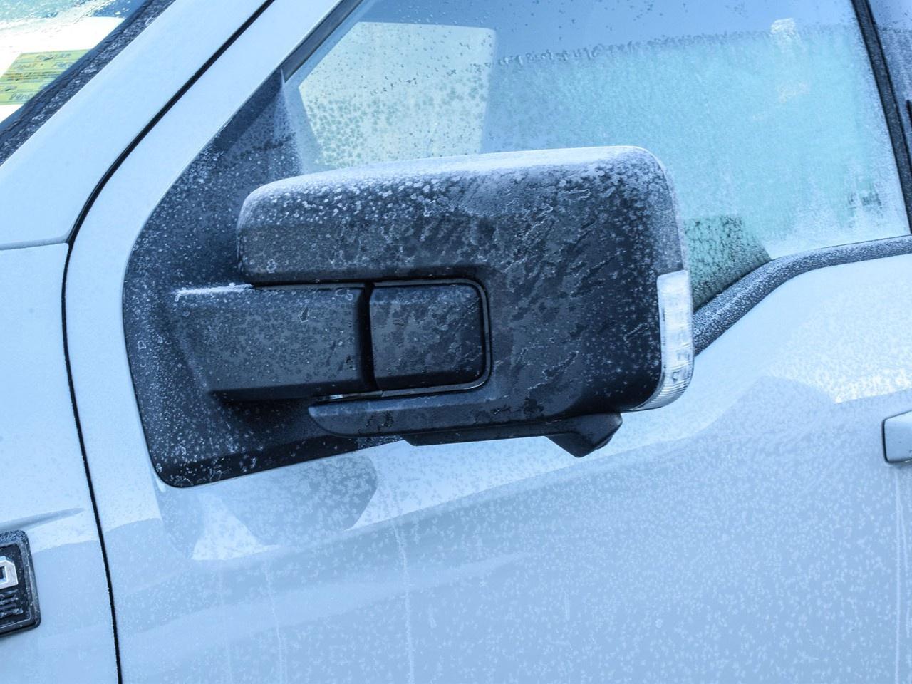 2023 Ford F-150 XLT 4WD SuperCrew 5.5' Box Photo