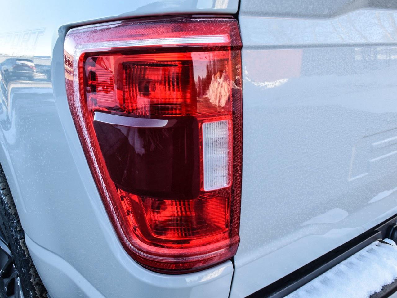 2023 Ford F-150 XLT 4WD SuperCrew 5.5' Box Photo