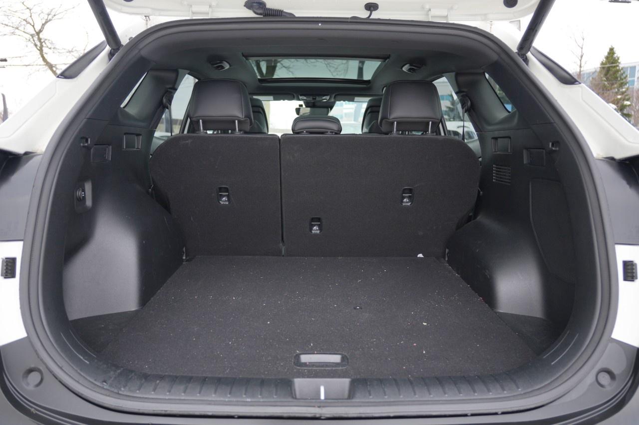 2023 Kia Sportage X-line Limited Photo