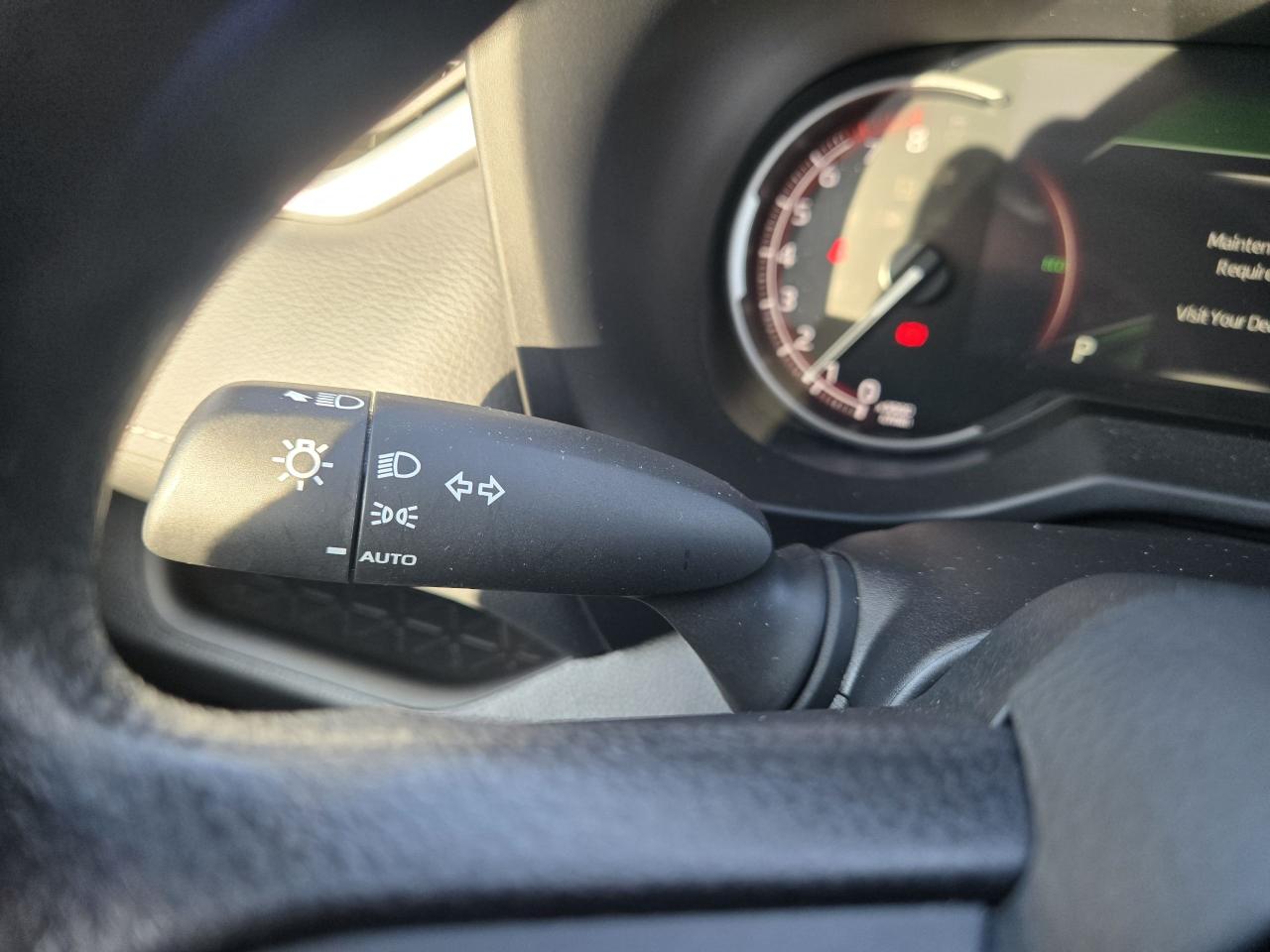 2025 Toyota RAV4 LE Photo