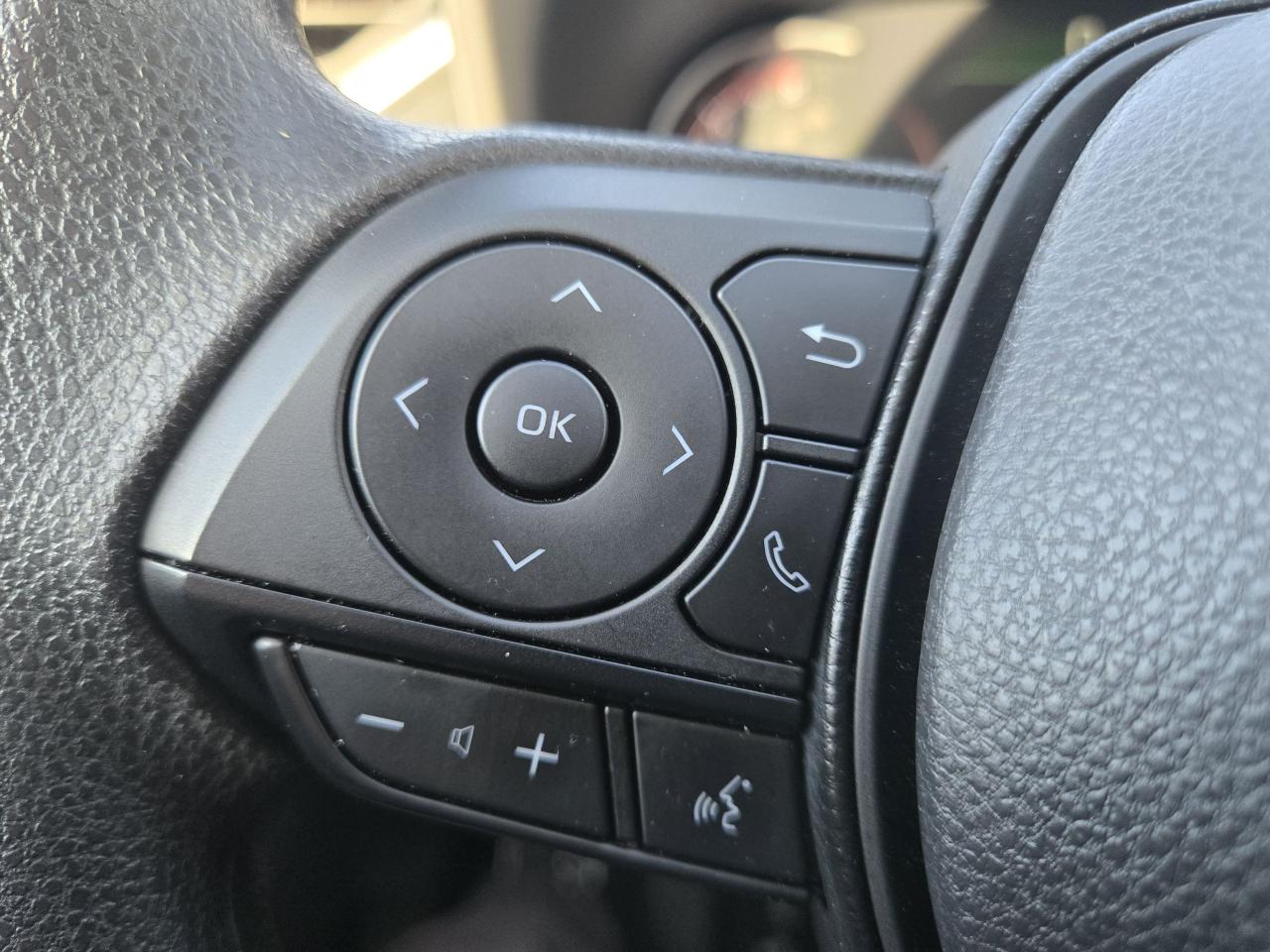 2025 Toyota RAV4 LE Photo