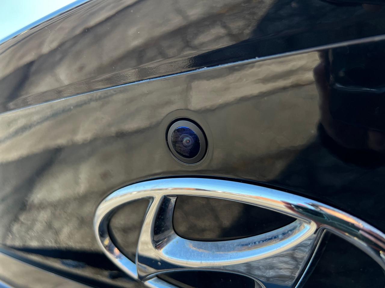 2023 Hyundai Elantra N Line Ultimate ONE OWNER NO ACCIDENT FULLY LOADED Photo