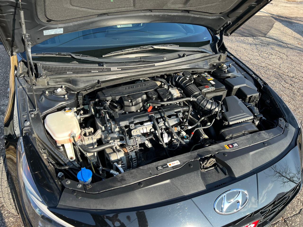 2023 Hyundai Elantra N Line Ultimate ONE OWNER NO ACCIDENT FULLY LOADED Photo