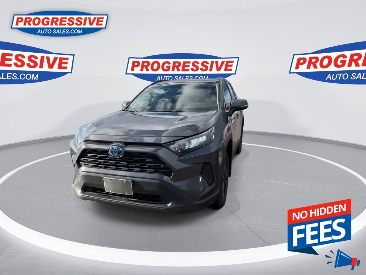 2023 Toyota RAV4 Hybrid LE Photo3