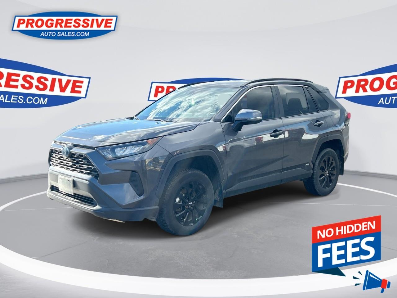 2023 Toyota RAV4 Hybrid LE Photo0