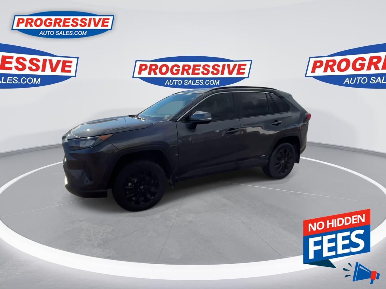 2023 Toyota RAV4 Hybrid LE Photo