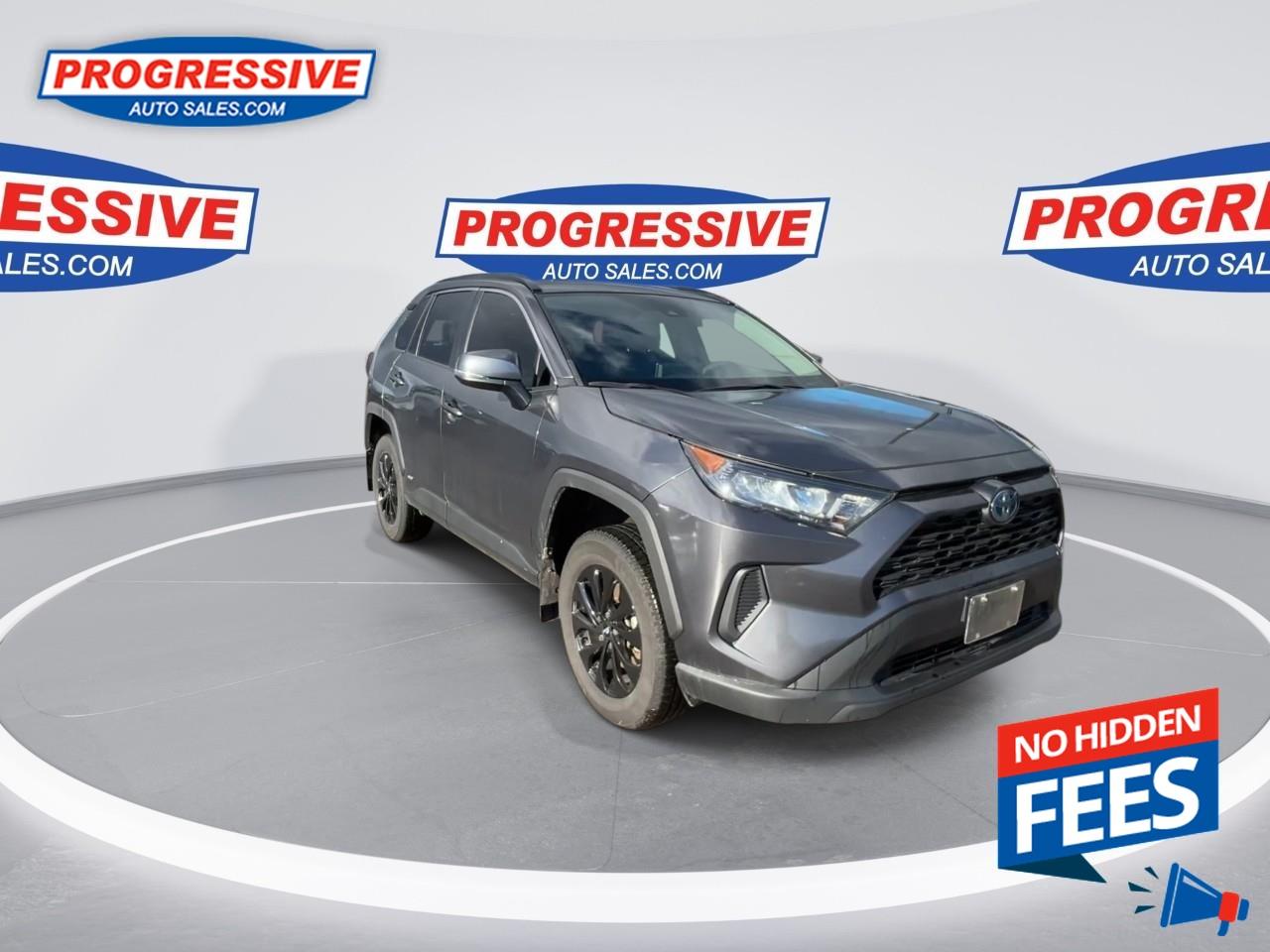2023 Toyota RAV4 Hybrid LE Photo2