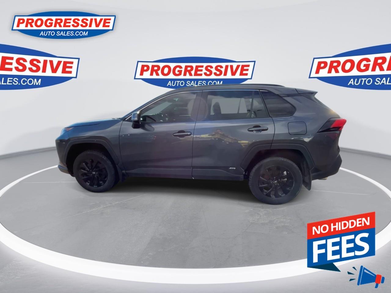 2023 Toyota RAV4 Hybrid LE Photo