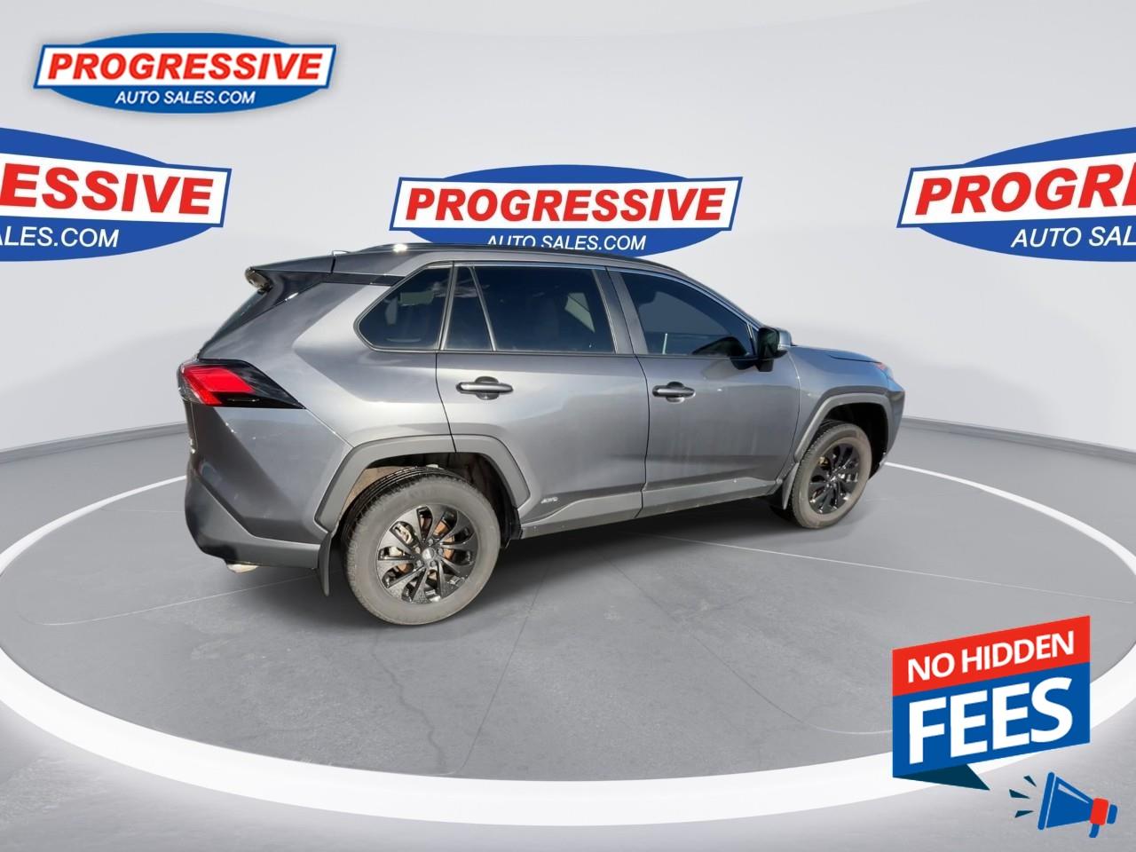 2023 Toyota RAV4 Hybrid LE Photo