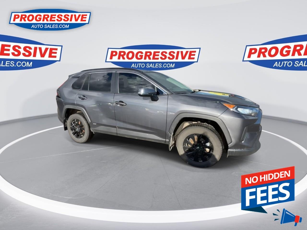 2023 Toyota RAV4 Hybrid LE Photo