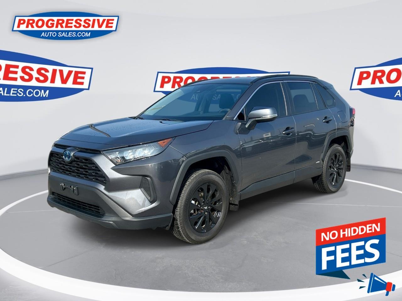 2023 Toyota RAV4 Hybrid LE Photo0
