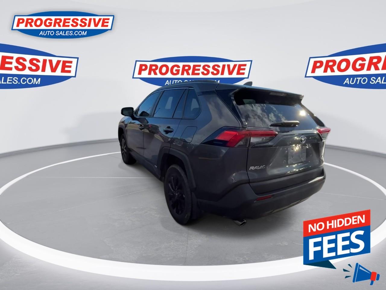 2023 Toyota RAV4 Hybrid LE Photo