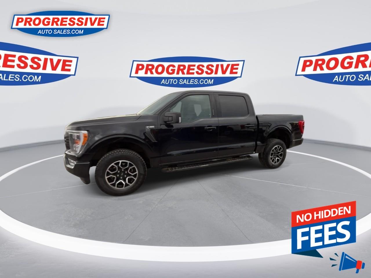 2022 Ford F-150 XLT Photo4