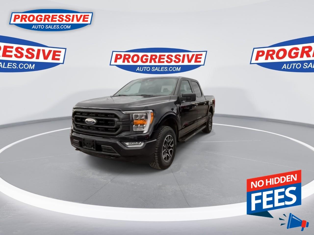 2022 Ford F-150 XLT Photo