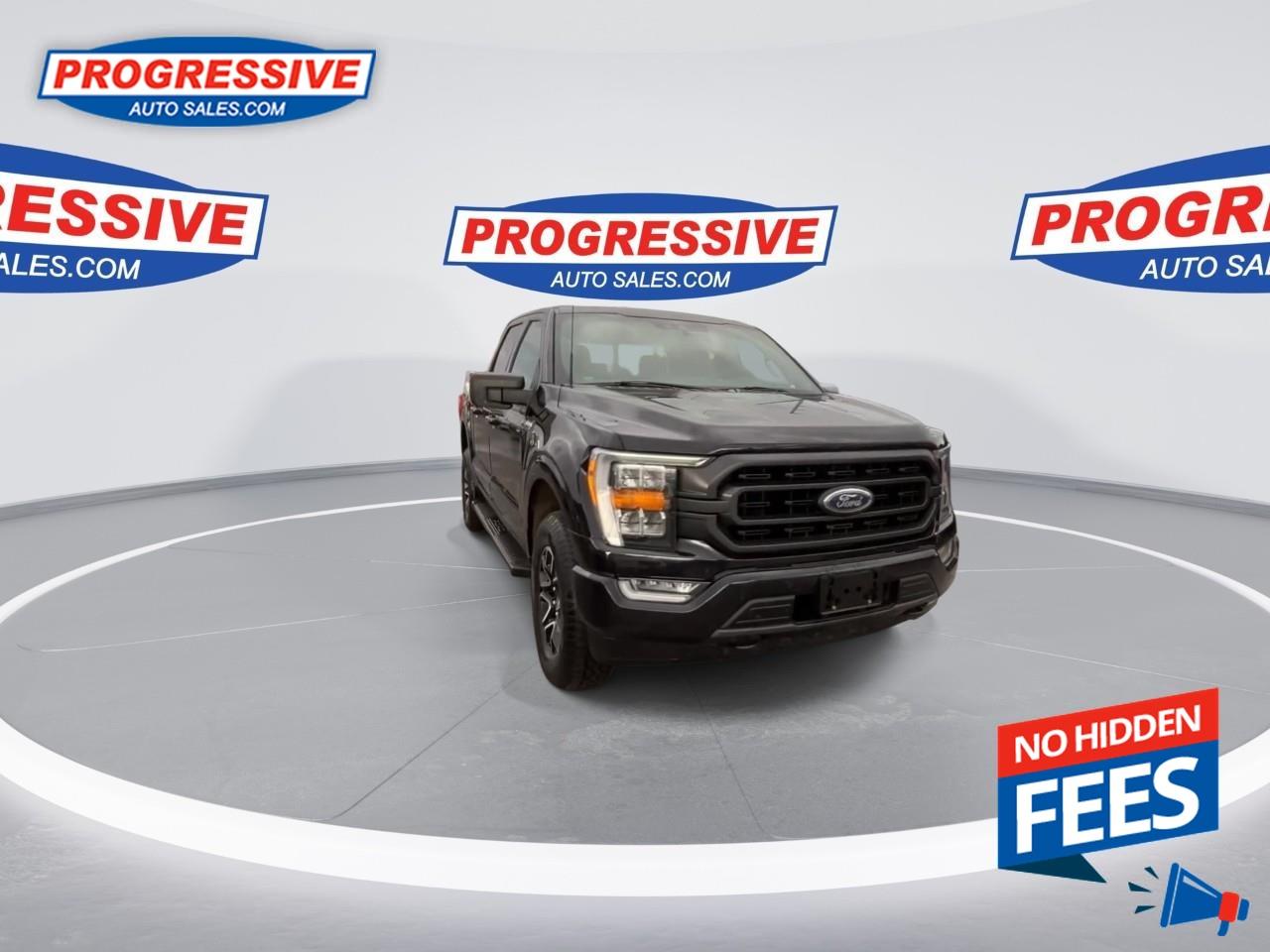 2022 Ford F-150 XLT Photo