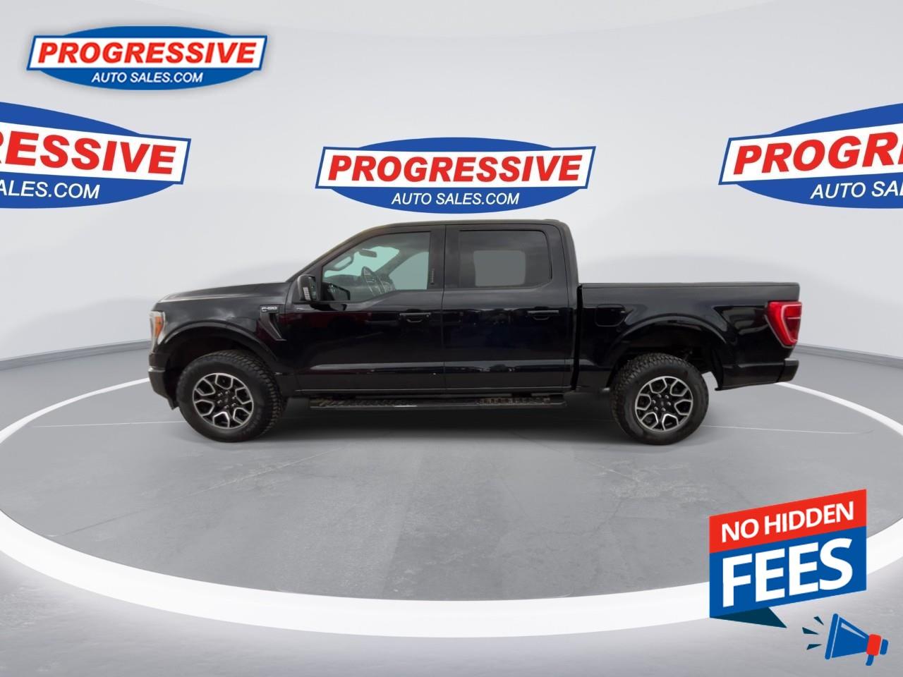 2022 Ford F-150 XLT Photo