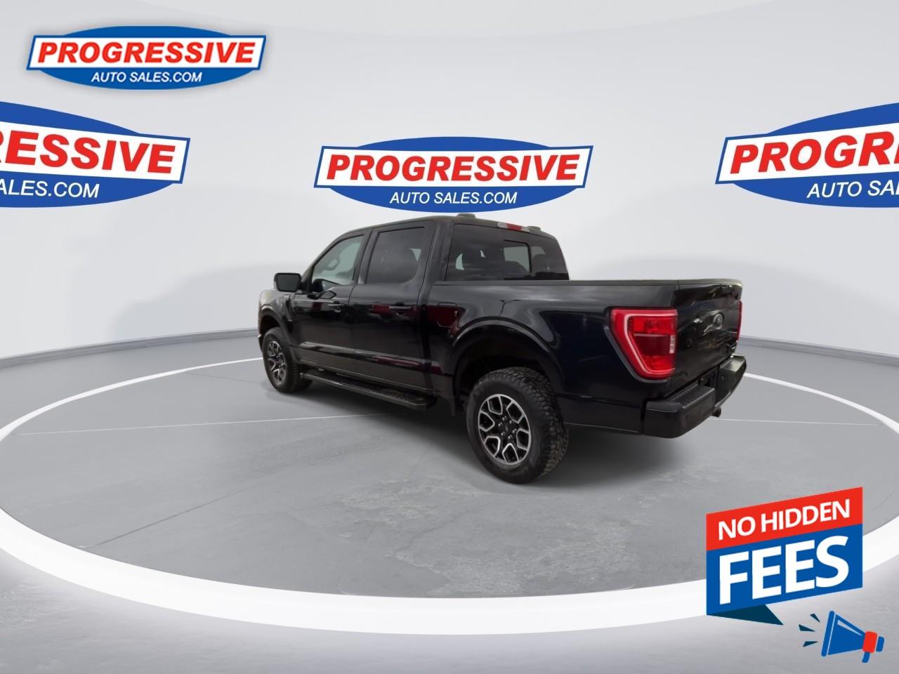 2022 Ford F-150 XLT Photo