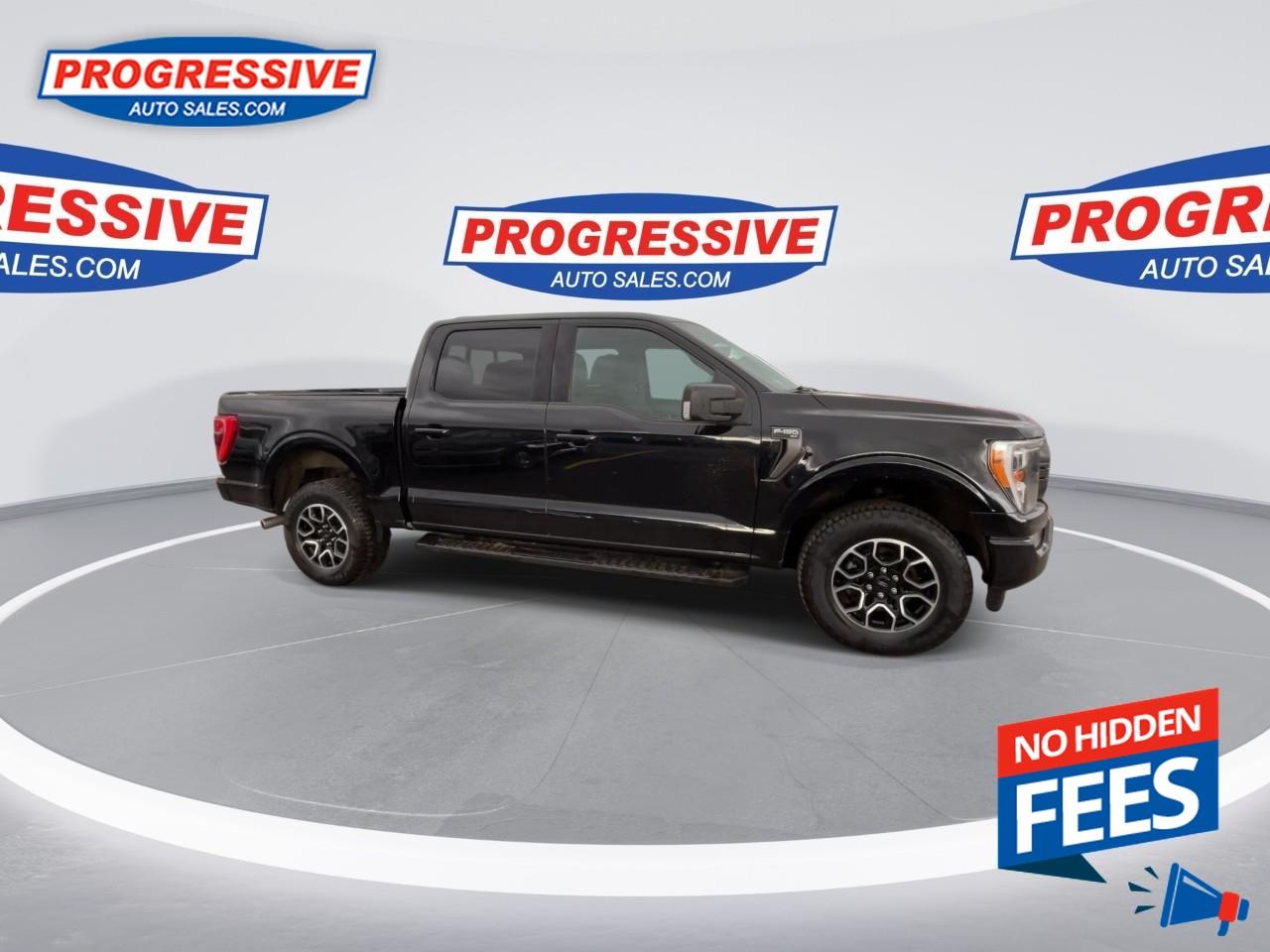 2022 Ford F-150 XLT Photo