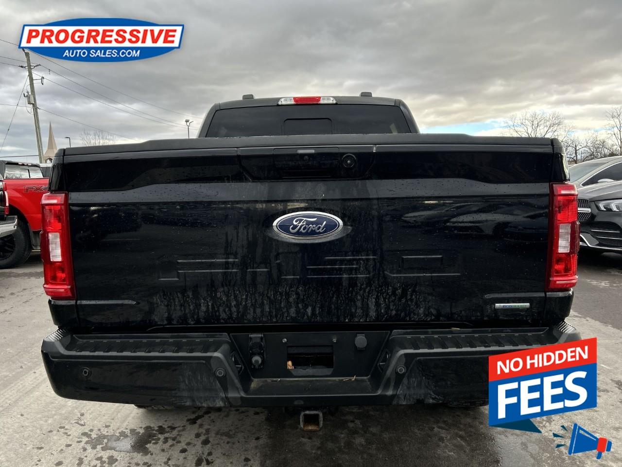 2022 Ford F-150 XLT Photo