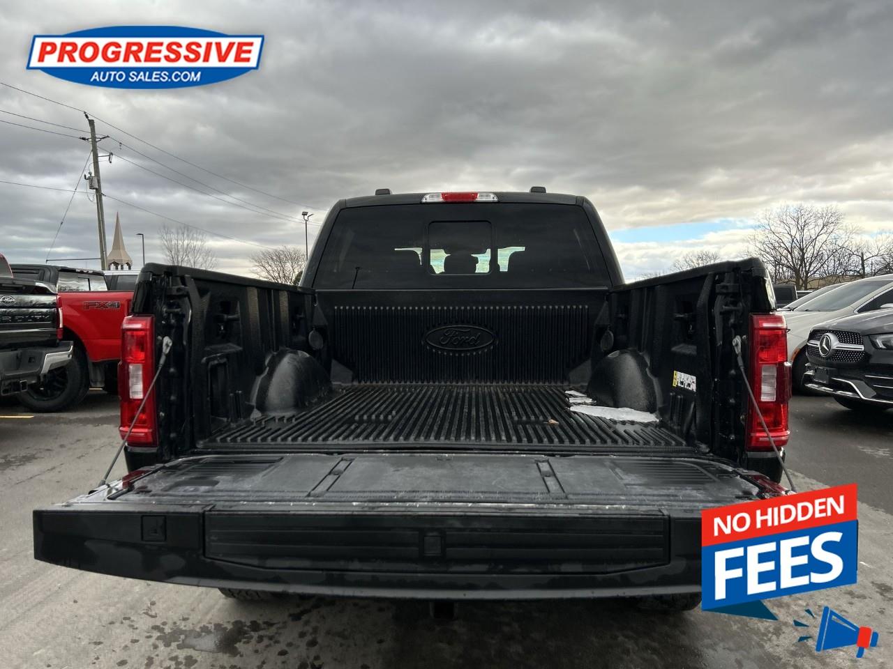 2022 Ford F-150 XLT Photo