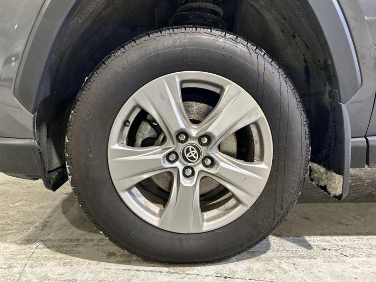 2024 Toyota RAV4 XLE Hybrid AWD Photo