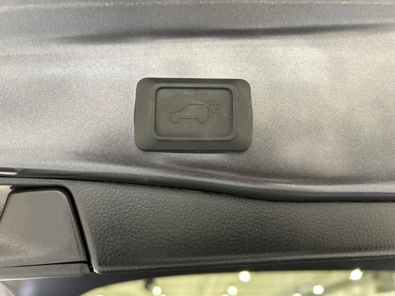 2024 Toyota RAV4 XLE Hybrid AWD Photo