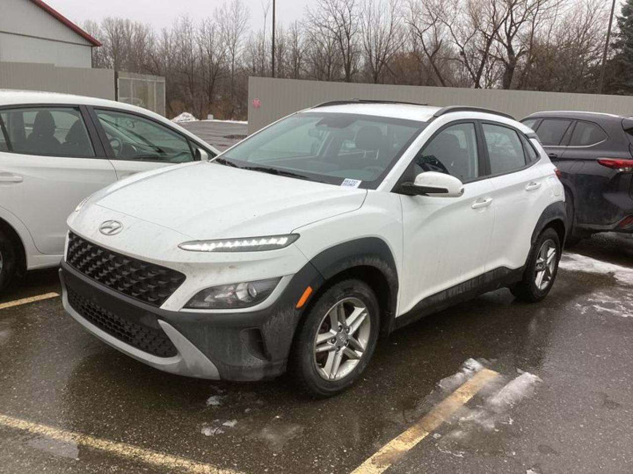 2022 Hyundai KONA Essential AWD Photo0