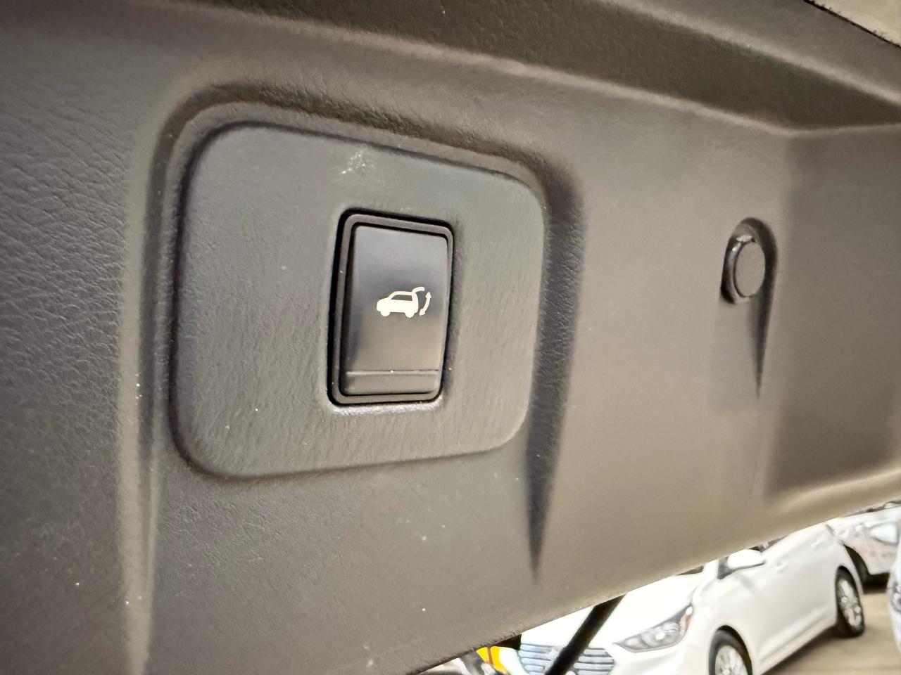 2019 Nissan Murano Platinum Photo