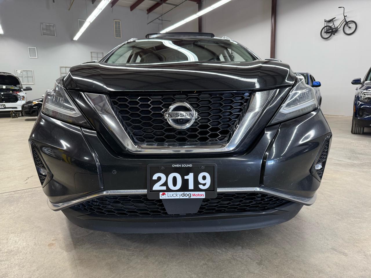 2019 Nissan Murano Platinum Photo