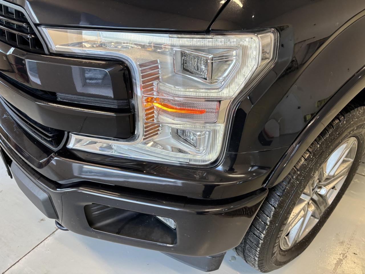 2019 Ford F-150 Lariat Photo