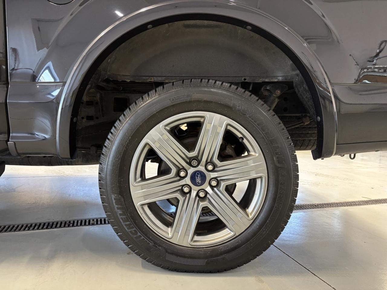 2019 Ford F-150 Lariat Photo