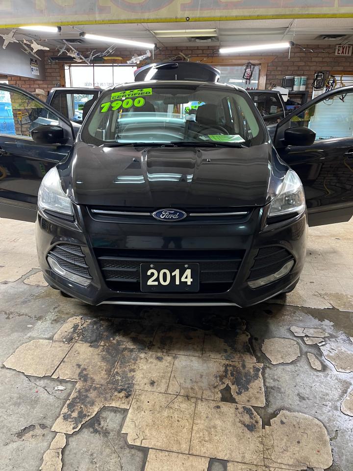 2014 Ford Escape 4WD 4dr SE Photo
