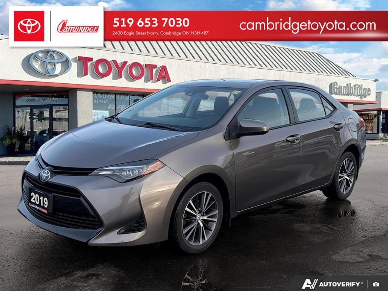 2019 Toyota Corolla LE Photo