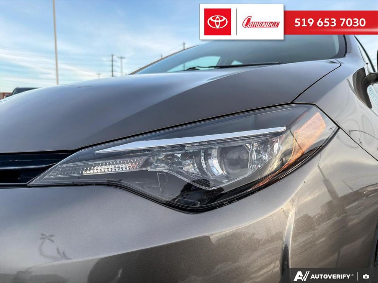 2019 Toyota Corolla LE Photo