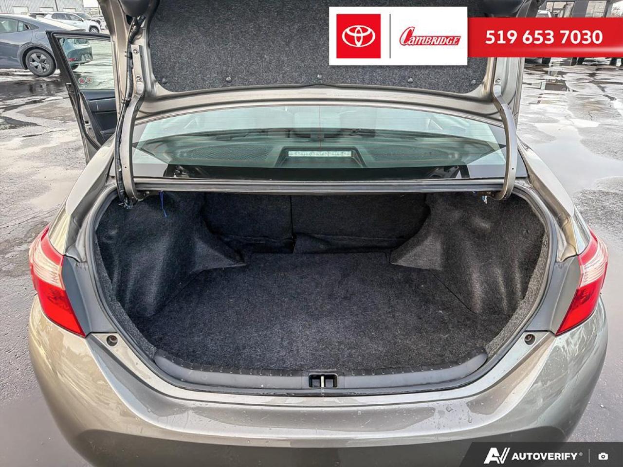 2019 Toyota Corolla LE Photo