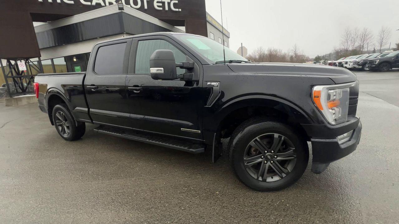 2021 Ford F-150 XLT 4X4 Photo