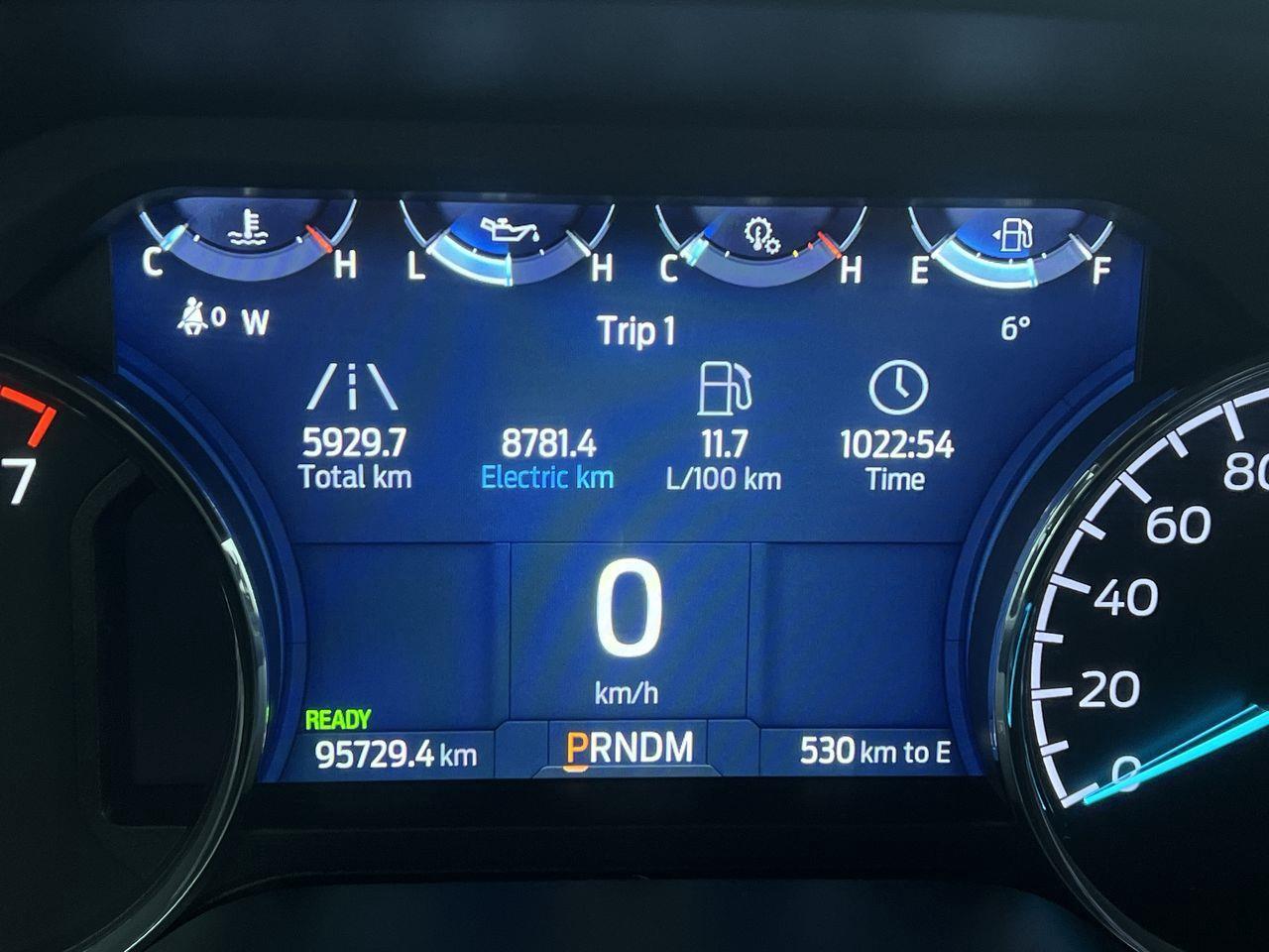 2021 Ford F-150 XLT 4X4 Photo