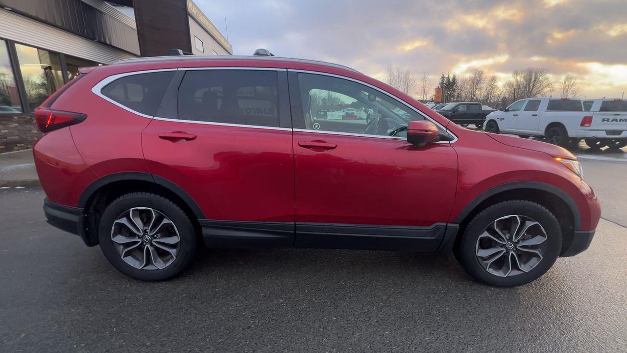 2020 Honda CR-V EX-L AWD Photo4