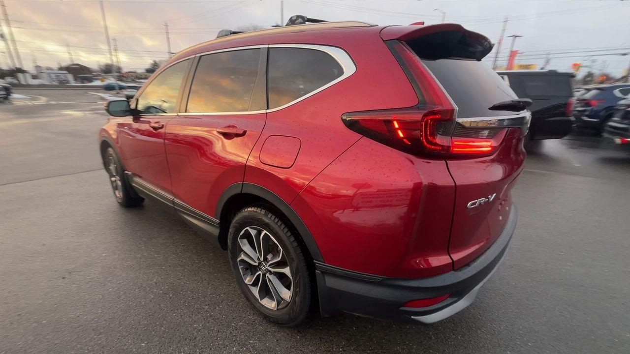 2020 Honda CR-V EX-L AWD Photo