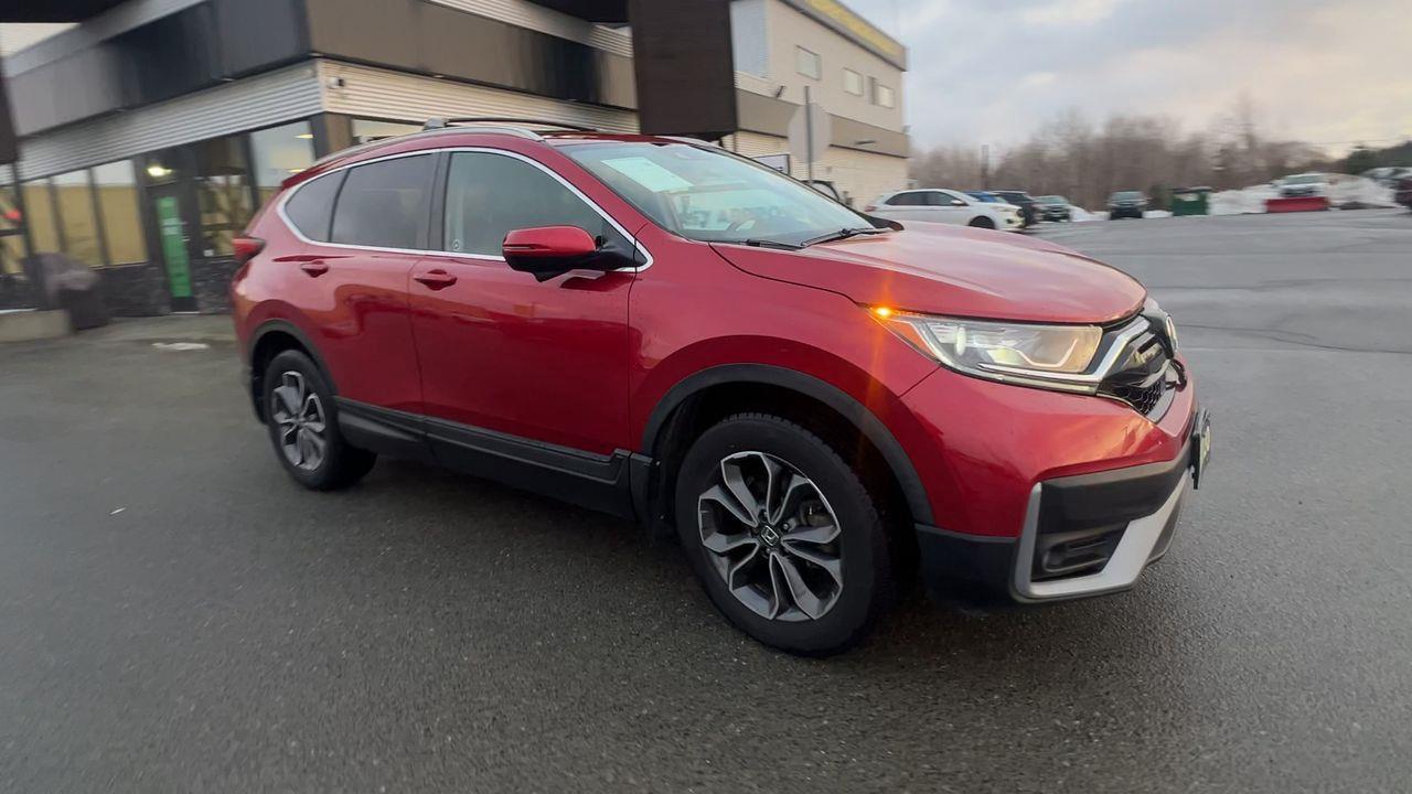 2020 Honda CR-V EX-L AWD Photo