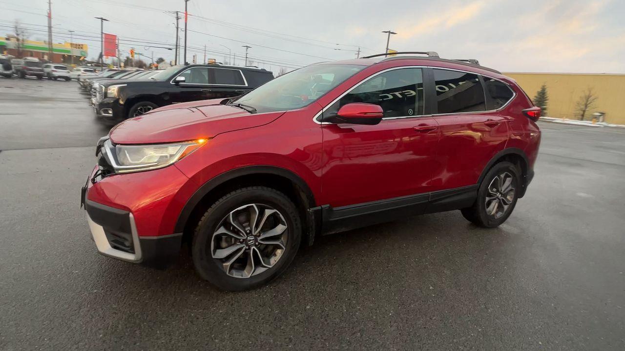 2020 Honda CR-V EX-L AWD Photo