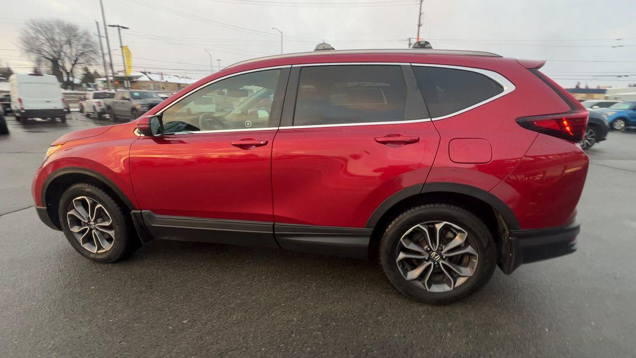 2020 Honda CR-V EX-L AWD Photo