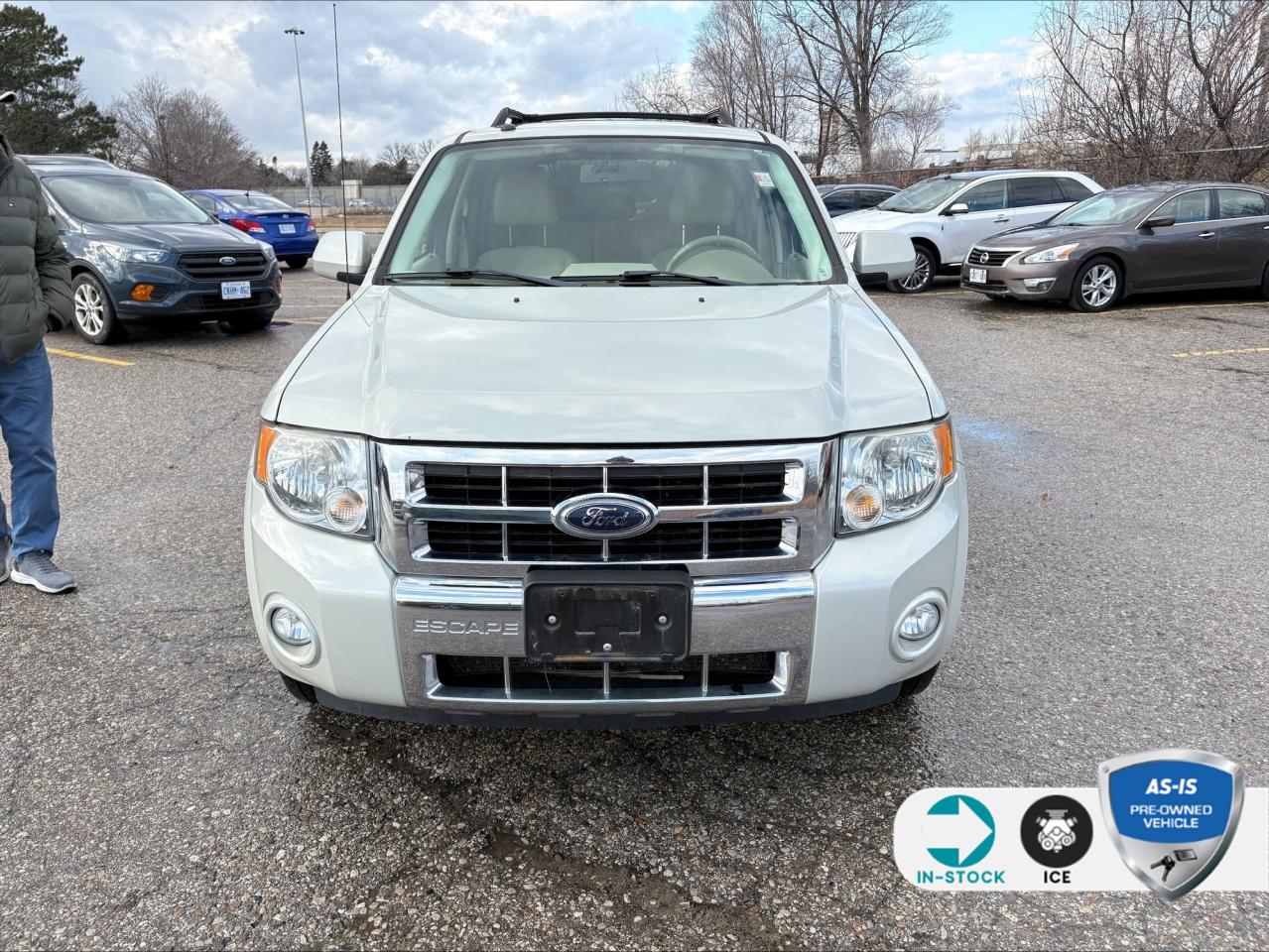 2008 Ford Escape Limited 600A | NO ACCIDENTS Photo