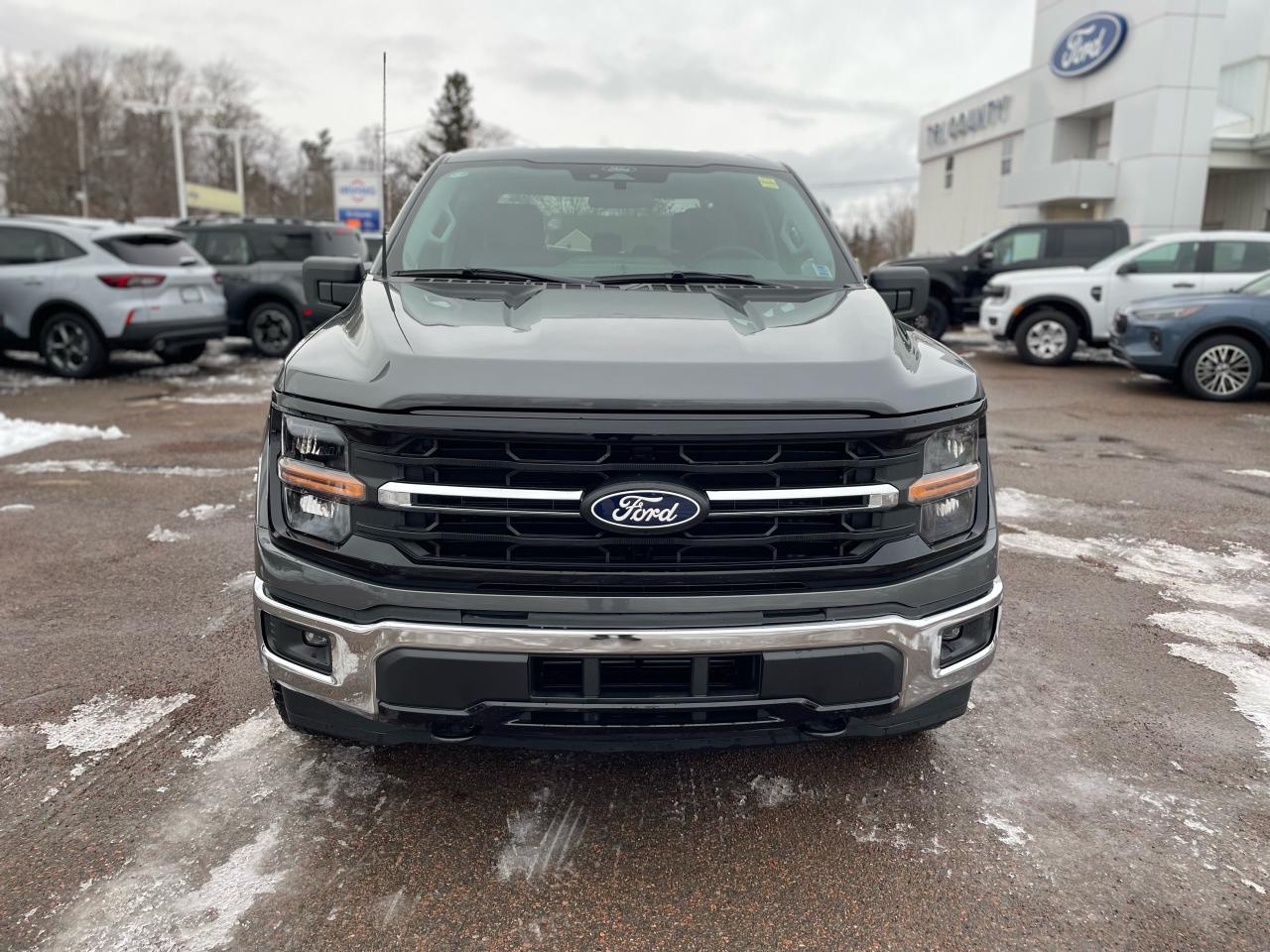 2025 Ford F-150 XLT Photo1